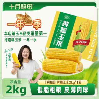 十月稻田 黄糯大棒2kg真空粗粮早餐零食东北黏玉米香