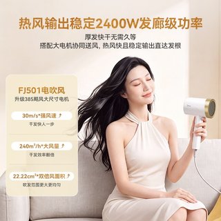 美的 FJ501 2400W大功率负离子护发 电吹风