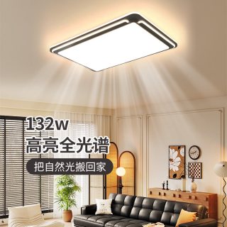 雷士 照明吸顶灯2025新款主客厅灯智能卧室简约灯具全屋套餐黑色