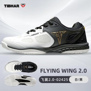 TIBHAR 飞翼2.0 男女款乒乓球鞋 02208