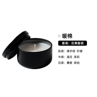 试香蜡烛小样40g旅行装大豆蜡香