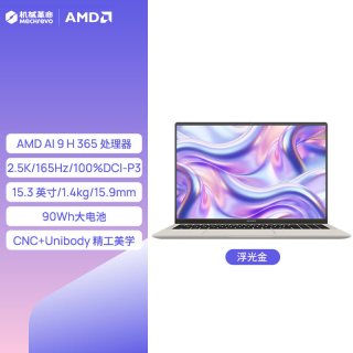 机械革命 16 Pro RTX5060 游戏笔记本电脑