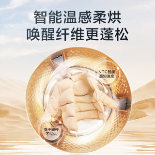 小天鹅 洗衣机TD10V28T