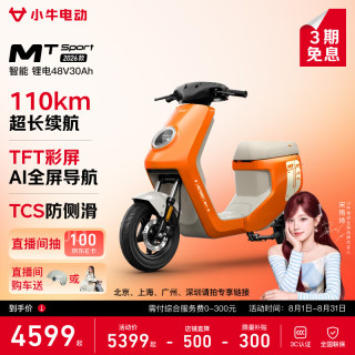 小牛电动 MT Sport 电动车 48V30Ah锂电池