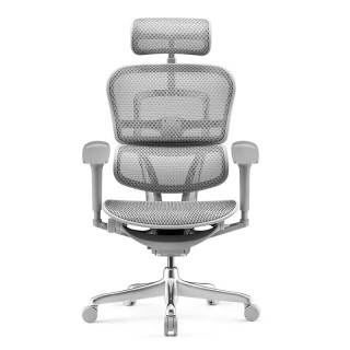 Ergonor 金豪B 2代 人体工学电脑椅 银白色 美国网款