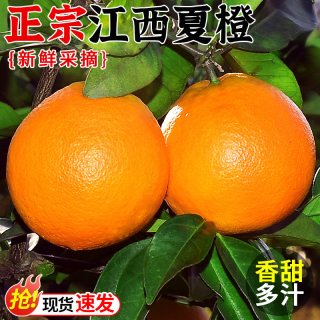 移动端：探味君 正宗赣南脐橙10斤 果冻橙冰糖甜橙