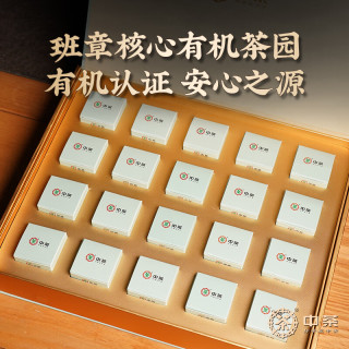中茶 班章龙珠有机大白菜2025年 云南普洱生茶礼盒装 160g