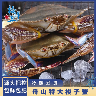 拾鲜生 梭子蟹活冻舟山特大5斤梭子蟹5-7两/只 当季新蟹 源头直发包邮