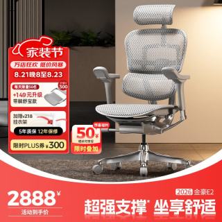 Ergonor 金豪E 2代 人体工学电脑椅 银白色 Q4.0版