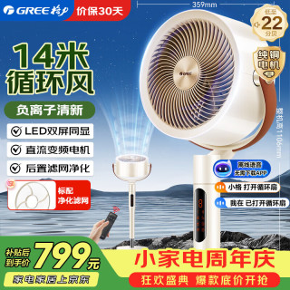格力 电风扇家用空气循环扇智能语音遥控落地扇负离子直流变频电扇节能静音摇头换气扇 FXDZ