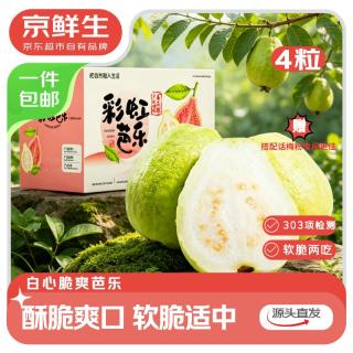 京鲜生 软糯双拼红白芭乐 净重3斤单果150g+ 新鲜番石榴 源头直发 软糯双拼红白芭乐 3斤