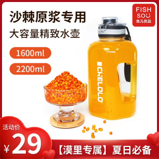 大容量吨吨桶大肚杯网红运动健身户外水杯水杯杯子水壶