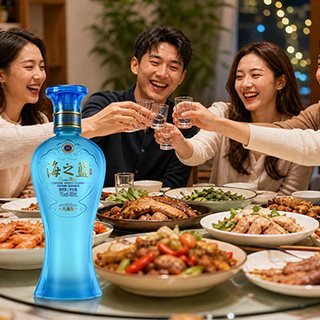 洋河 海之蓝风尚版 52度 480ml*6瓶 整箱装 白酒