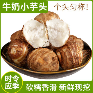 言片光 2026年现挖新芋头云南毛芋头山芋新鲜牛奶小芋头芋艿蔬菜火锅食材 3斤 净重