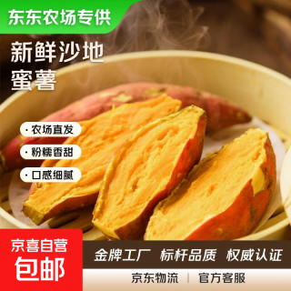 京喜 新鲜黄心蜜薯龙九红薯农家自种产地直发直播间 小果（单果1-3两）带箱1斤