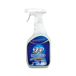 绿伞 瓷砖清洁剂洁瓷剂660g卫生间浴室马桶清洁家用厕所玻璃去污垢