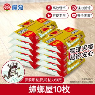 榄菊 蟑螂屋贴粘板非蟑螂药消杀除蟑螂10片装
