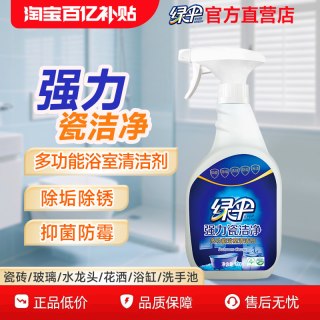 绿伞 瓷砖清洁剂660g强力瓷洁净浴室马桶清洁家用厕所玻璃去污垢