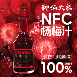 神仙大农 NFC100原汁720g两瓶营养工艺冷榨杨梅汁