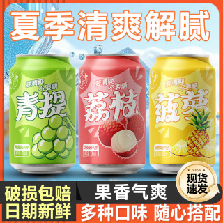 港中花 汽水果味经典畅饮装气泡水清爽荔枝菠萝葡萄冬日火锅搭子