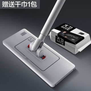 大卫 平板拖把懒人夹布阔面板拖把2026新款家用洗脸巾拖布干湿两用