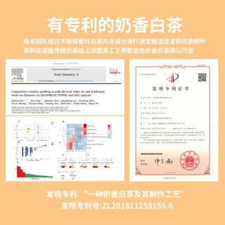 政名 政和白茶2025年奶香白茶春茶高山老树散茶泡袋60g礼盒装口粮茶