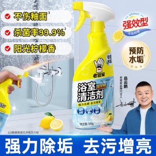 老管家 浴室马桶清洁剂瓷砖玻璃卫生间水垢强力去污除水渍