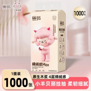 丽邦 卫生纸抽纸悬挂式纸巾纸抽实惠家用餐巾纸挂式厨房用纸1000张