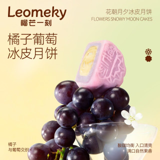 榴芒一刻 冰粽多口味冰皮月饼礼盒水果金枕榴莲中秋团购流心甜品