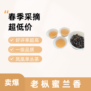 春茶 蜜韵回甘十足凤凰单丛中高山（炭焙）中熟