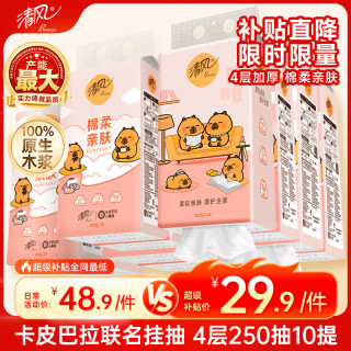 清风 X 卡皮巴拉 亲肤系列 悬挂式抽纸 4层*250抽*10提(170*132mm)