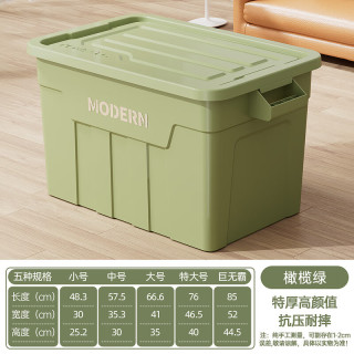 稻草熊 加厚收纳箱  储物箱  多款可选