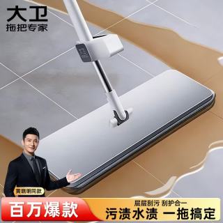 大卫 P10 平板拖 白色
