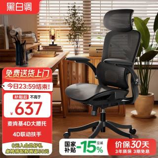 黑白调 P2 Pro 二代 人体工学椅 曜黑 标配款