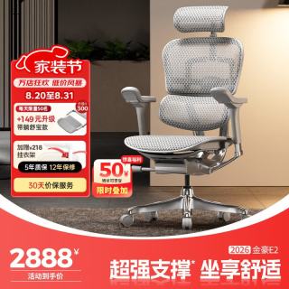 Ergonor 金豪E 2代 人体工学电脑椅 银白色 Q4.0版