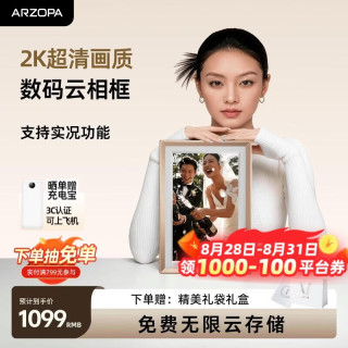 ARZOPA D14Pro 2K超清数码电子相册显示器 14英寸 香槟金