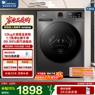 小天鹅 TD120V098WDT