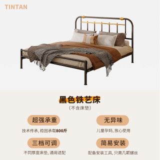 天坛家具 铁艺床成人双人床主卧简约现代金属加固铁架高低架子床
