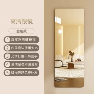 梵果 网红玻璃镜子贴墙自粘设计感全身镜壁挂式轻奢风穿衣镜异形试衣镜