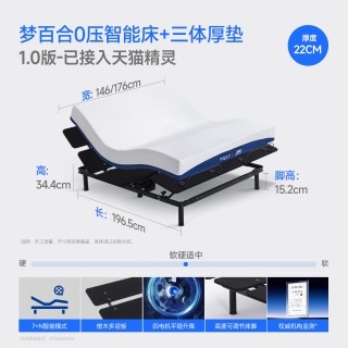 MLILY 三体智能床电动床多功能可调节升降情侣双人床