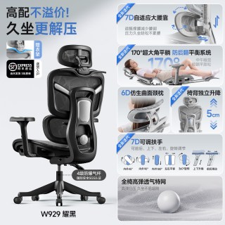 朗域轩品 人体工学椅子护腰久坐不累电竞椅可躺办公室椅靠背座椅家用电脑椅