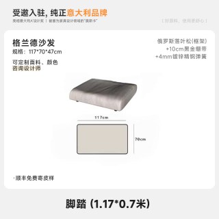 言逸家 丨雪花雪尼尔布艺格兰德沙发意式极简客厅简约现代羽绒沙发
