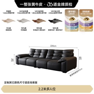 FA SA DI HOUSEHOLD 政府补贴法莎蒂意式极简大象耳朵真皮沙发小户型头层牛皮直排沙发