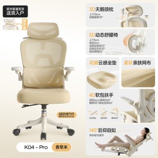 莱克－帝家 女生的第一把 人体工学椅办公椅电脑椅久坐可躺靠背座椅电竞椅