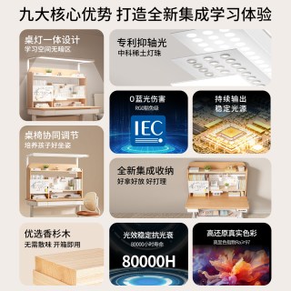 大满贯 儿童可升降学习桌小学生专用书桌护眼灯一体套装 杉语lite