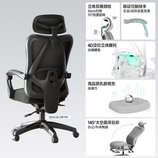 莱克－帝家 人体工学椅护腰舒适久坐电脑椅办公室椅子座椅电竞椅员工办公椅