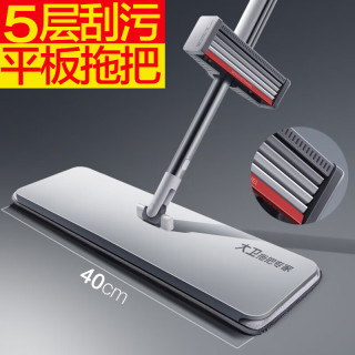 大卫 平板拖把大号家用懒人一拖新款 P12-2一杆2头 40cm