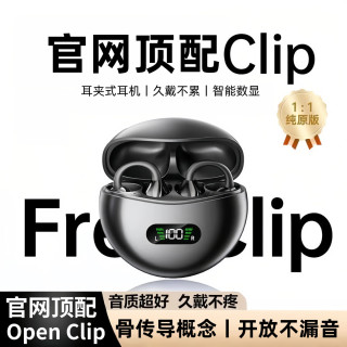 萨勒芬妮 蓝牙耳机真无线骨传导概念挂耳