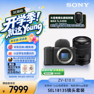 索尼 精准对焦 APS-C画幅微单相机+电池+座充  单头套机 18-135mm 黑色
