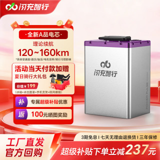闪充智行 72V60V48V三元锂外卖三轮车电动摩托车专用 三元锂73V60Ah+10A充电器